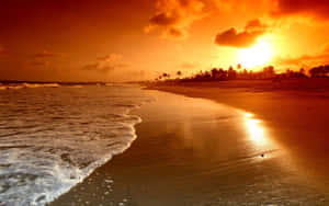 Yellow Orange Malibu Beach Sunrise Desktop Wallpaper