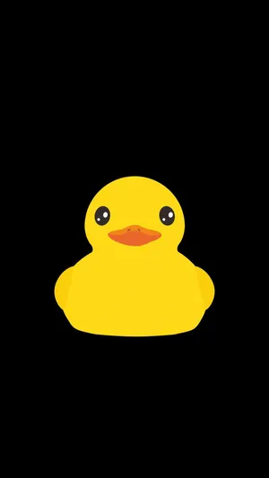 Yellow Rubber Duck Black Background Wallpaper