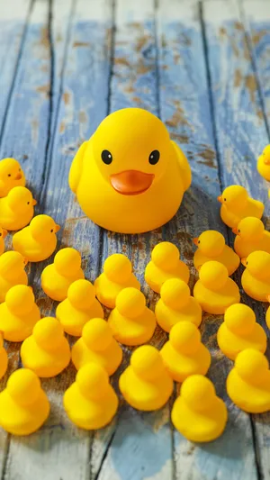 Yellow Rubber Duck Flockon Blue Wooden Background.jpg Wallpaper