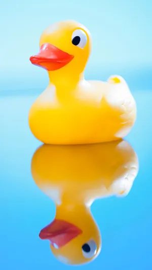 Yellow Rubber Duck Reflection Wallpaper