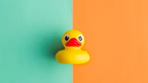 Yellow Rubber Duck Split Background Wallpaper