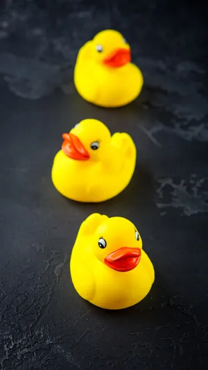 Yellow Rubber Ducksina Row Wallpaper