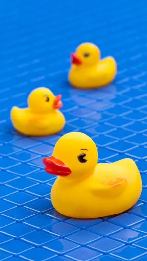 Yellow Rubber Duckson Blue Wallpaper