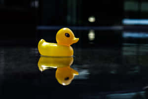 Yellow Rubber Ducky Reflection Wallpaper