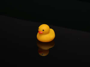 Yellow Rubber Ducky Reflection Wallpaper