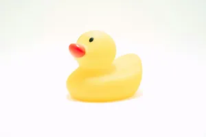 Yellow Rubber Ducky White Background Wallpaper