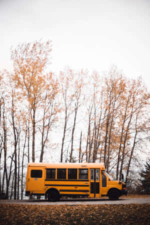 Yellow School Bus 2730 X 4096 Wallpaper Wallpaper