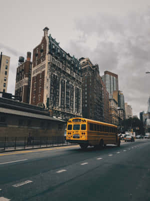 Yellow School Bus On The Road Wallpaper