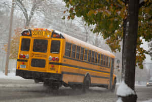 Yellow School Bus Parked On A Sunny Afternoon Wallpaper