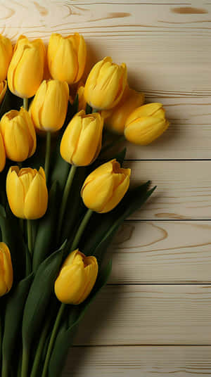 Yellow Tulips Wooden Background Wallpaper