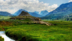 Yellowstone National Park Creek Wallpaper