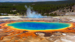 Yellowstone National Park Grand Prismatic Wallpaper