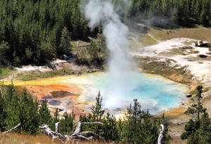 Yellowstone National Park Imperial Geyser Wallpaper