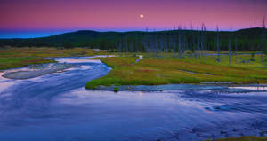 Yellowstone National Park Madison River Wallpaper