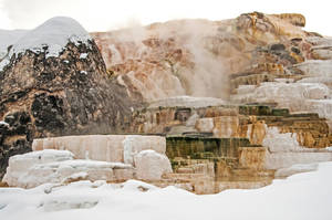 Yellowstone National Park Palette Springs Wallpaper