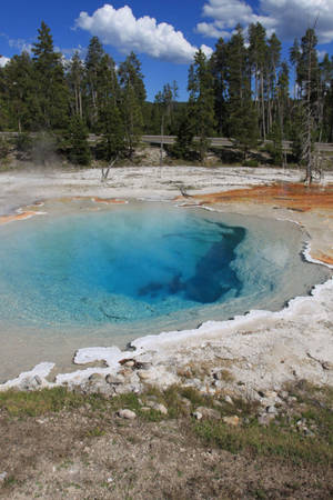 Yellowstone National Park Silex Spring Wallpaper