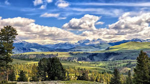 Yellowstone National Park Valley Wallpaper