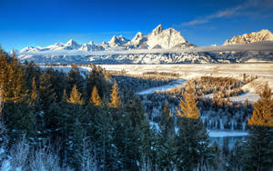 Yellowstone National Park Winter Landscape Wallpaper