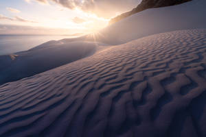 Yemen Socotra Desert Wallpaper