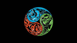 Yin Yang Charizard Blastoise Venusaur Wallpaper