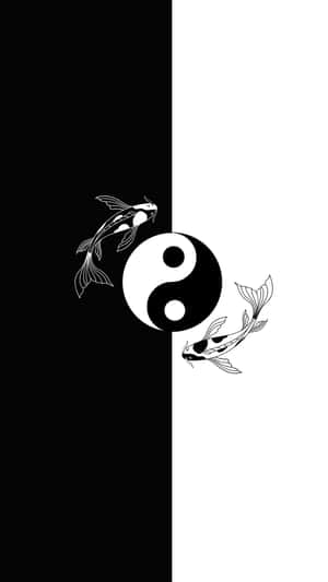 Yin Yang Fish Harmonizing Life Wallpaper