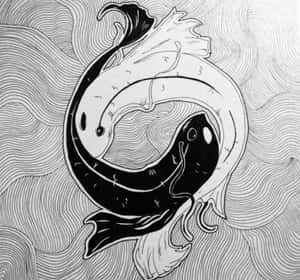 Yin Yang Fish In Harmony Wallpaper