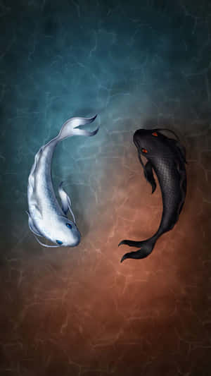 Yin Yang Koi Fish Wallpaper Wallpaper