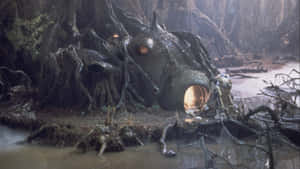Yoda Hut Dagobah Swamp Wallpaper