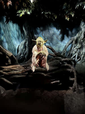 Yodain Dagobah Swamp Wallpaper