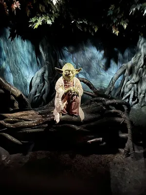 Yodain Dagobah Swamp Wallpaper