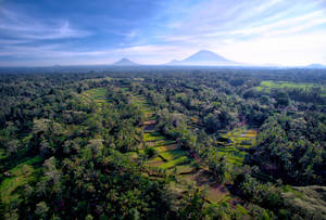 Yogyakarta City Indonesia Wallpaper