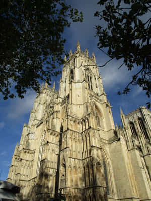 York Minster Cathedral Portrait Wallpaper