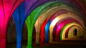 Yorkshire Colorful Abbey Cellarium Wallpaper