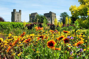 Yorkshire Helmsley Walled Garden Wallpaper