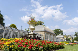 Yorkshire Sheffield Botanical Gardens Wallpaper