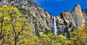 Yosemite National Park Spring Wallpaper