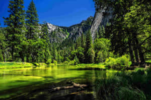 Yosemite_ Valley_ Serene_ River_ View.jpg Wallpaper