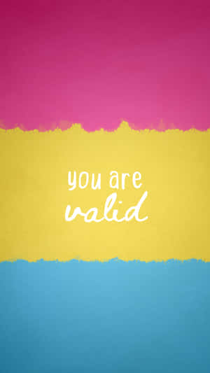 You Are Valid Pan Flag Illustration Wallpaper