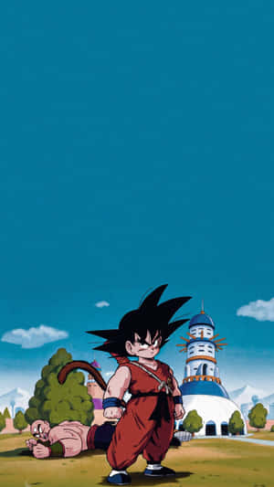 Young Hero Before Kame House Wallpaper