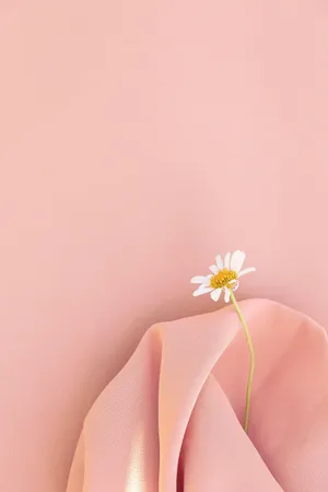 Young Man Relaxing Under A Tree In City Park Wallpaper