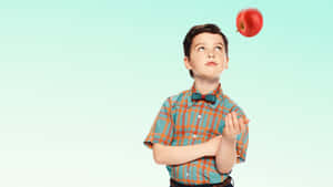 Young Sheldon Contemplating Apple Wallpaper