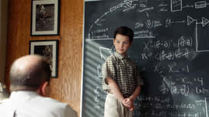 Young Sheldon Mathematical Board Wallpaper