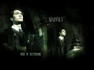 Young Tom Riddle Glancing Mysteriously In The Shadows Wallpaper
