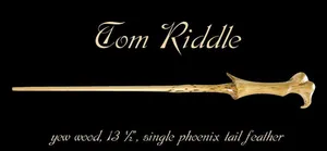 Young Tom Riddle, The Charming Student With A Dark Secret Wallpaper