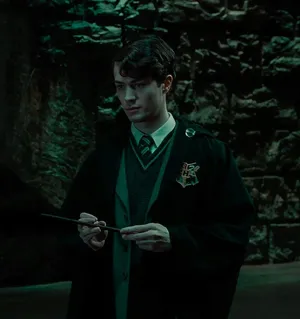 Young Tom Riddle With A Mysterious Aura Wallpaper