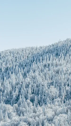 Young Woman At Sunrise Wallpaper