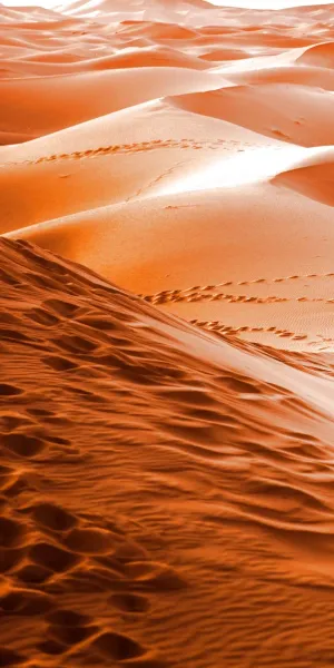 Your Favorite Iphone Now In The Desert Wallpaper