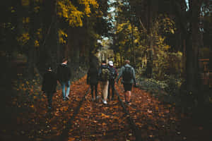 Youth Group Autumn Railroad Walk Wallpaper