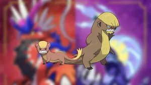 Yungoos And Gumshoos Wallpaper