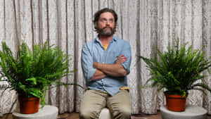 Zach Galifianakis In His Most Iconic Role Wallpaper